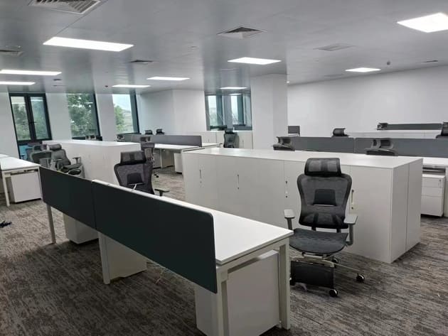 Project Honey Bear - Image 2